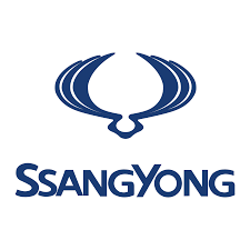 SSANGYONG X